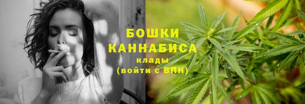 крисы Вязьма