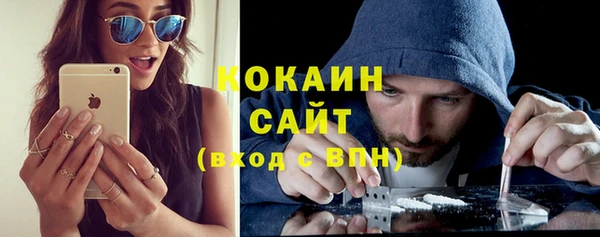 крисы Вязьма