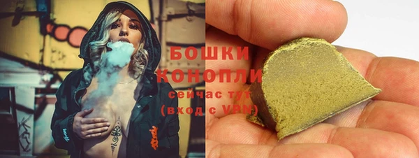 крисы Вязьма