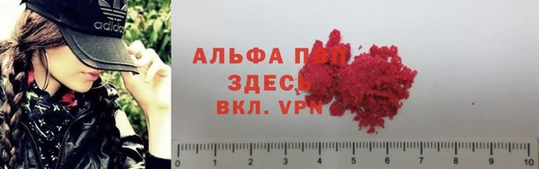 крисы Вязьма