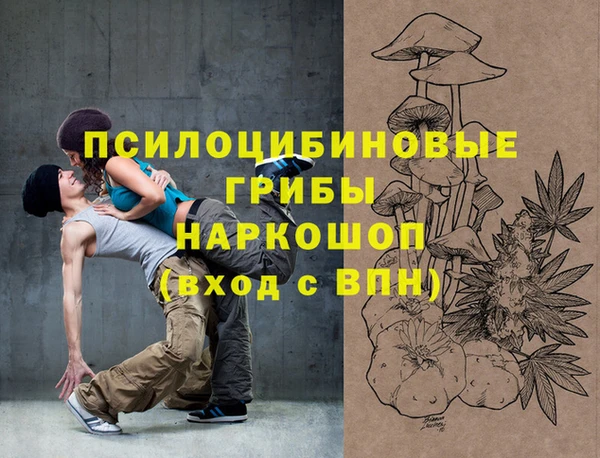винт Вяземский