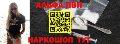 стаф Кингисепп