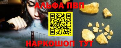 стаф Кингисепп