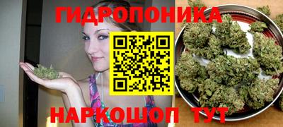 стафф Кинель