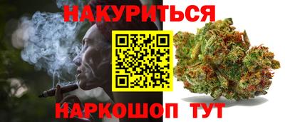 стаф Кингисепп