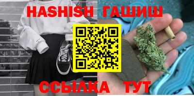 стаф Кингисепп