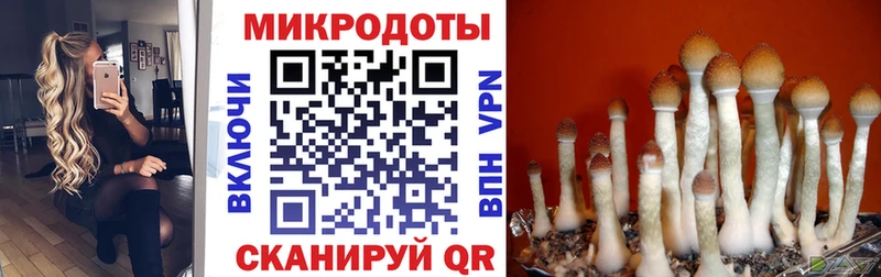 Галлюциногенные грибы Cubensis купить наркотики цена ОМГ ОМГ tor Назарово