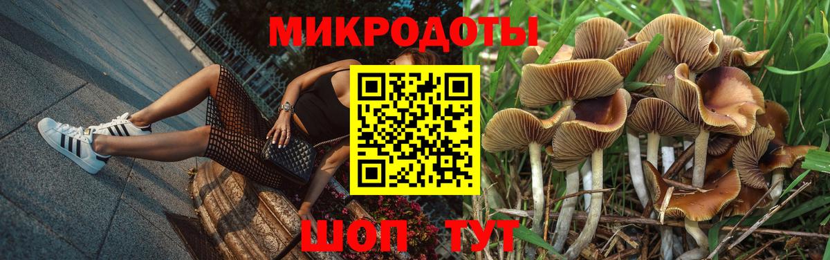 Назарово  Галлюциногенные грибы Cubensis  Вход с VPN 